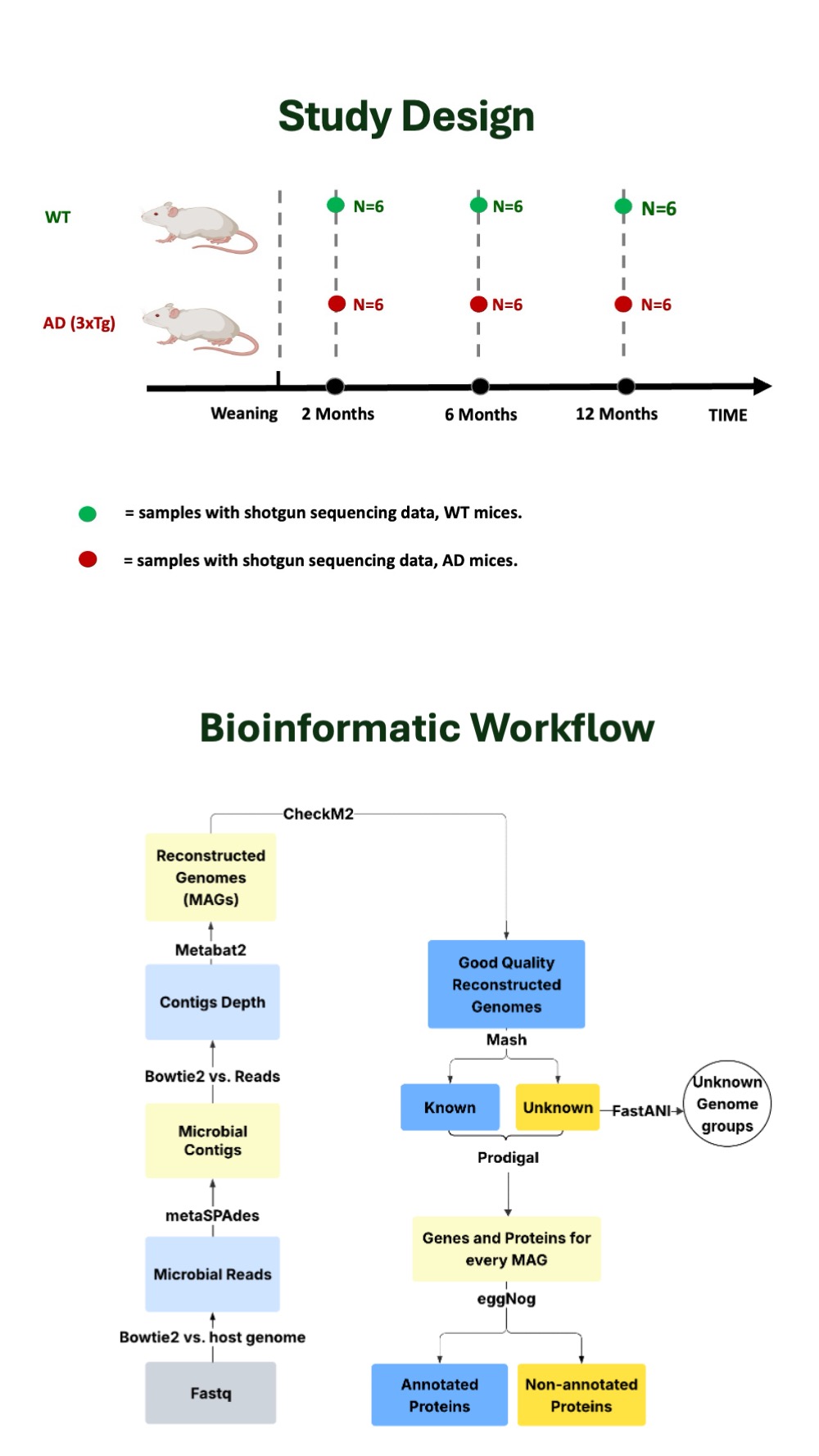 Study Design and Workflow